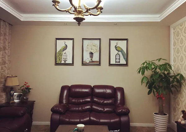 硅藻泥涂料建材屆“當(dāng)紅明星”